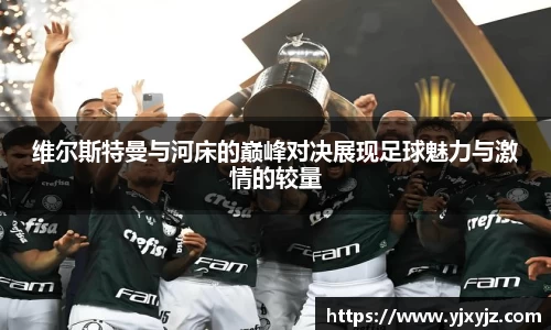 芒果体育官网入口